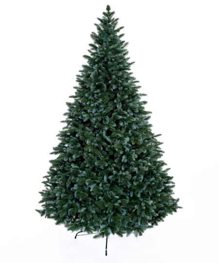 Jedľa Strieborná 240cm Full 3D